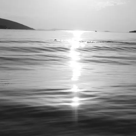 Jakovljevic Apartament *